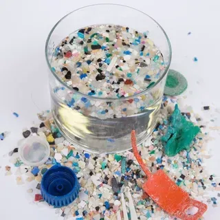 thumbnail for publication: Microplastics